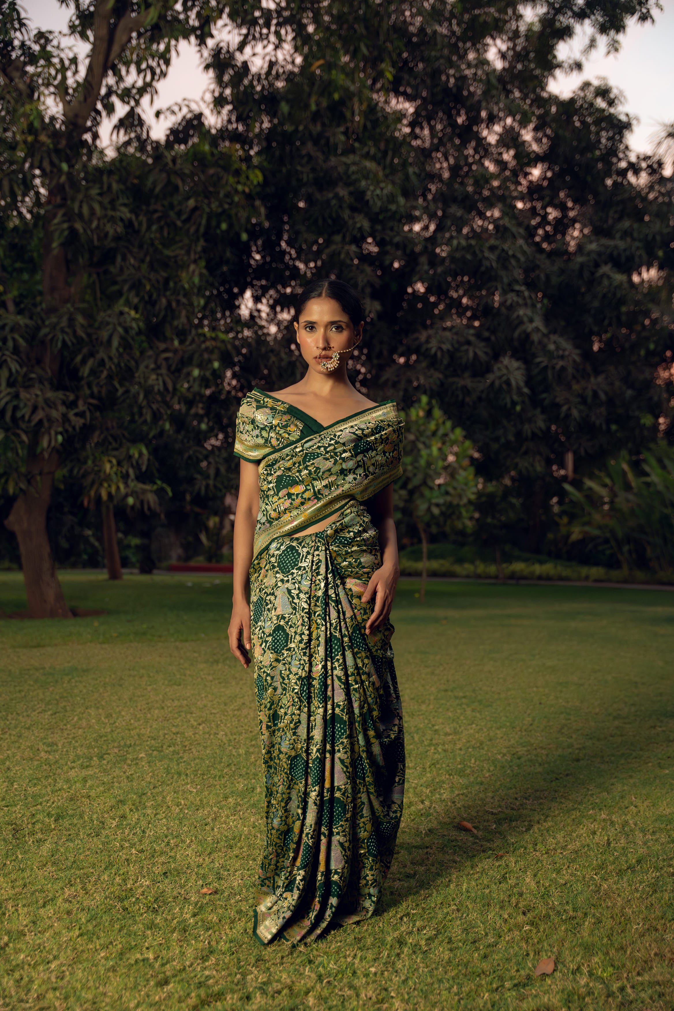 Olive Bandhani Saree
