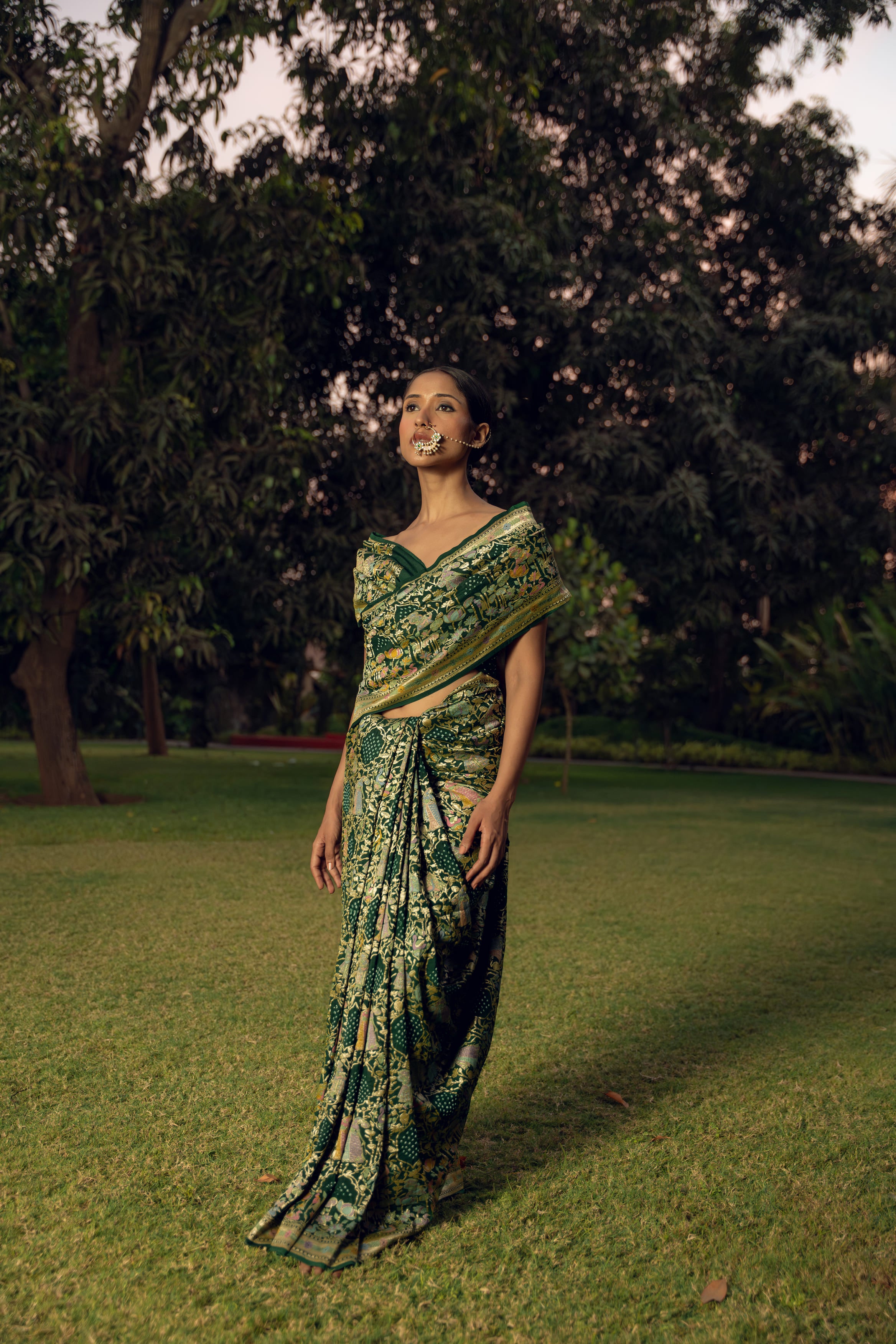 Olive Bandhani Saree