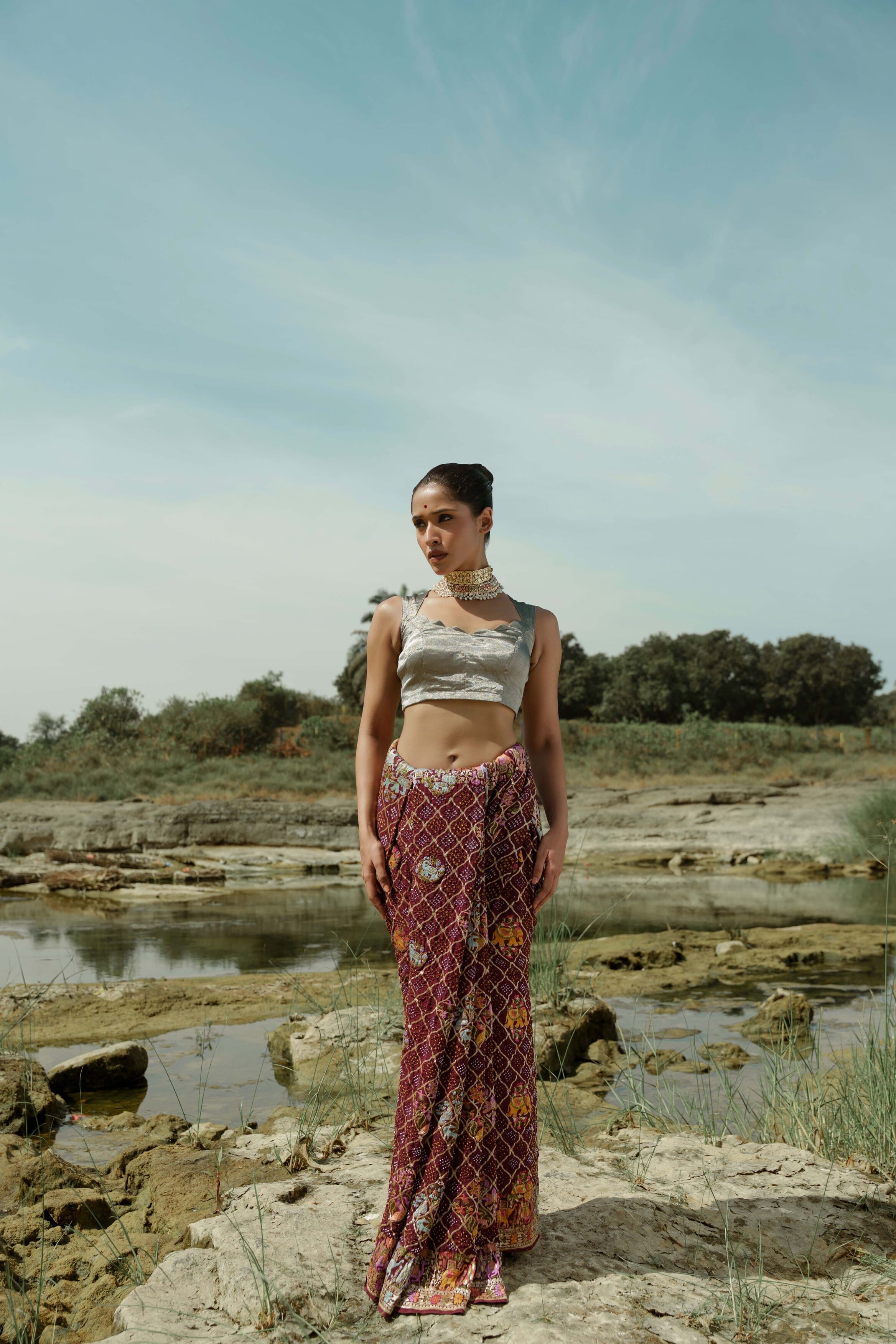 Brown Bandhani Saree
