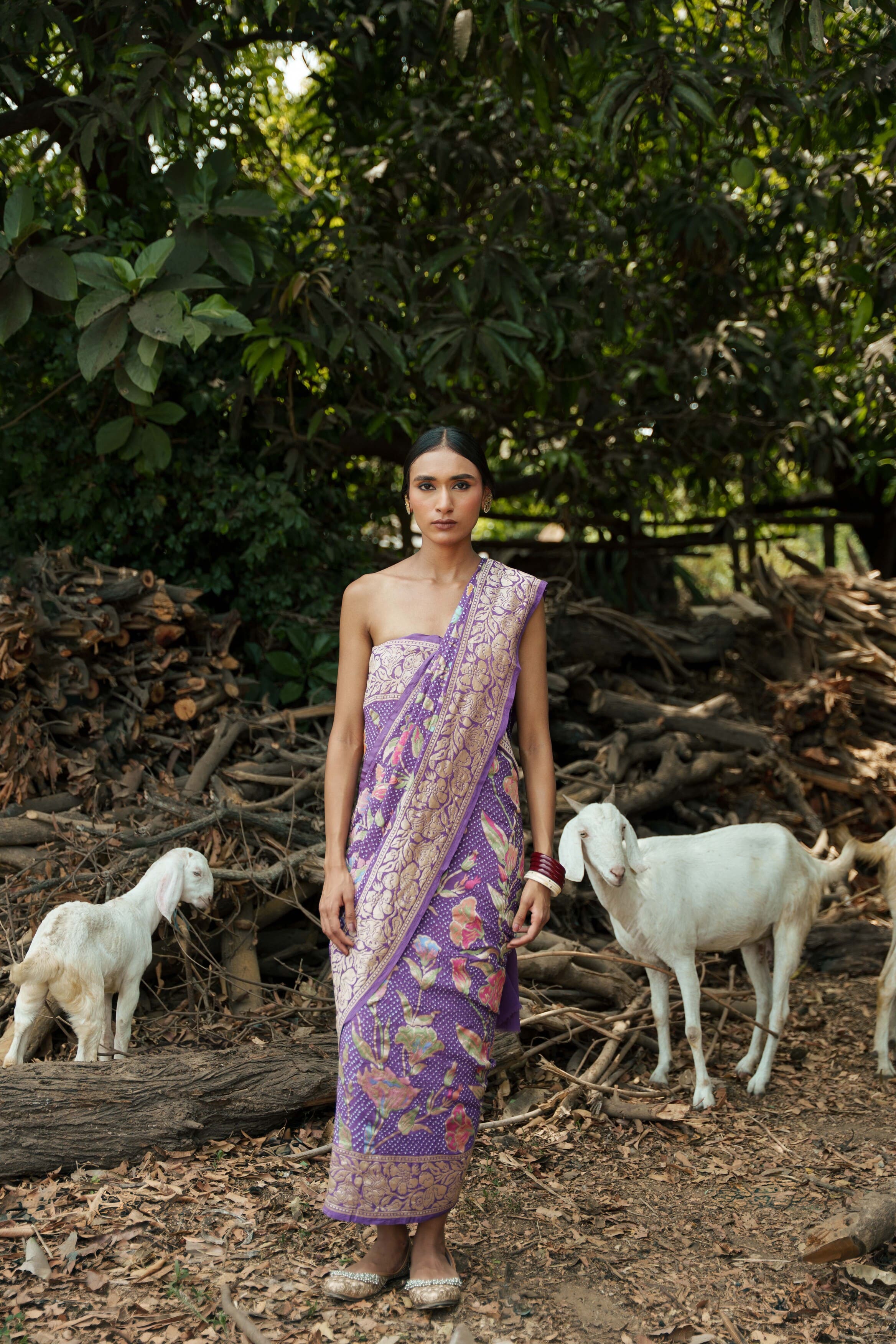 Purple Bandhani Saree