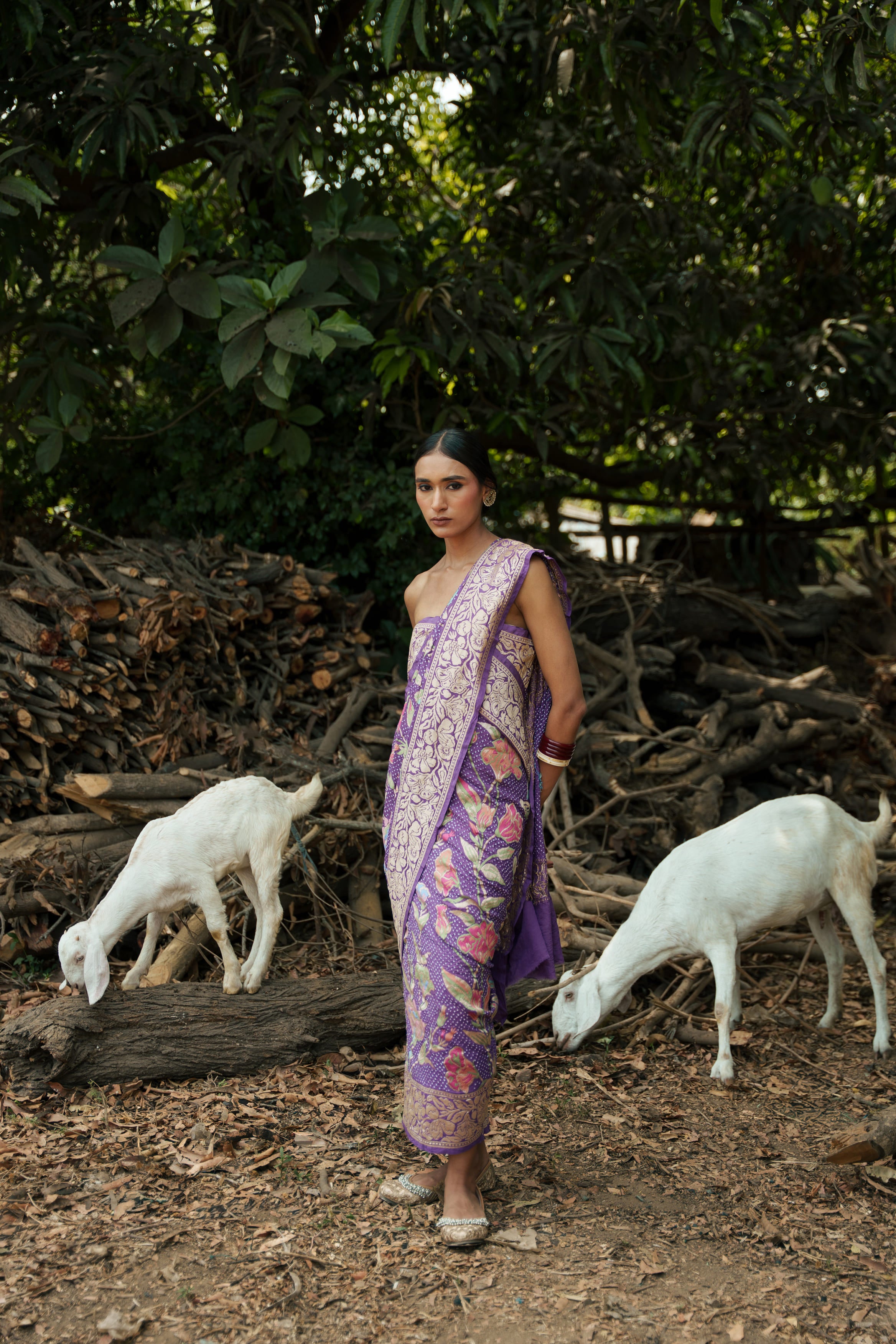 Purple Bandhani Saree