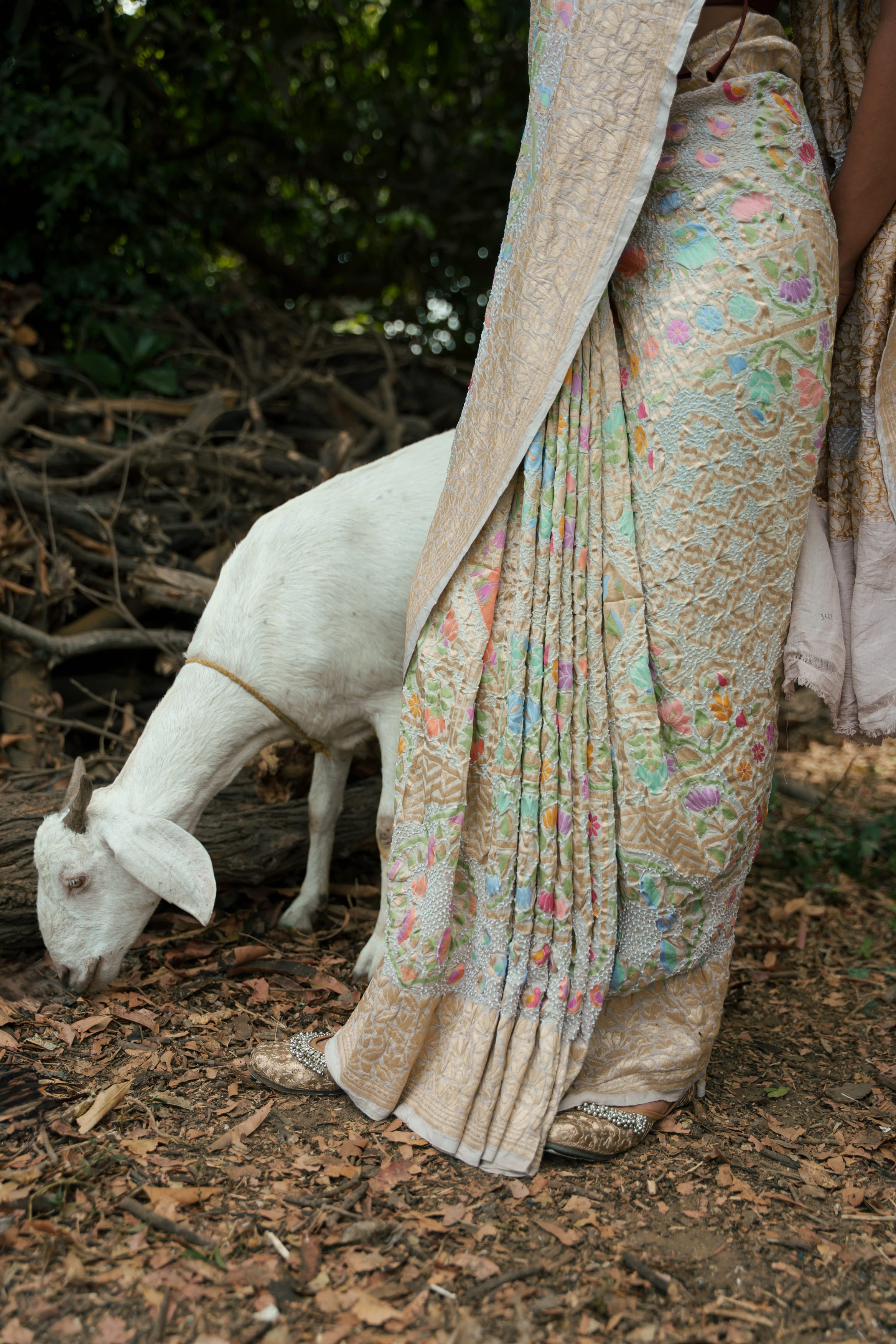 Meenakari Bandhani Saree