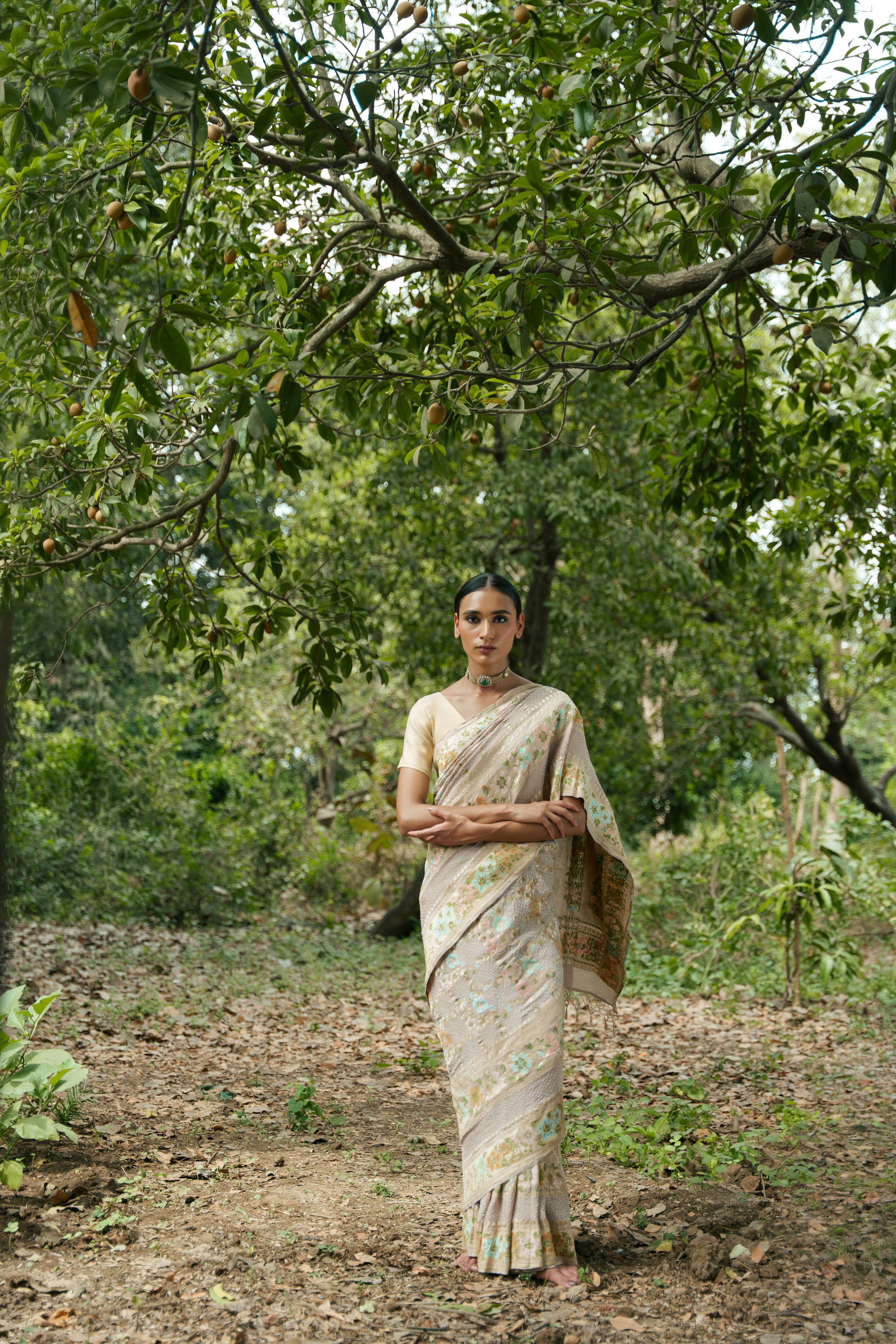 Beige Bandhani Saree