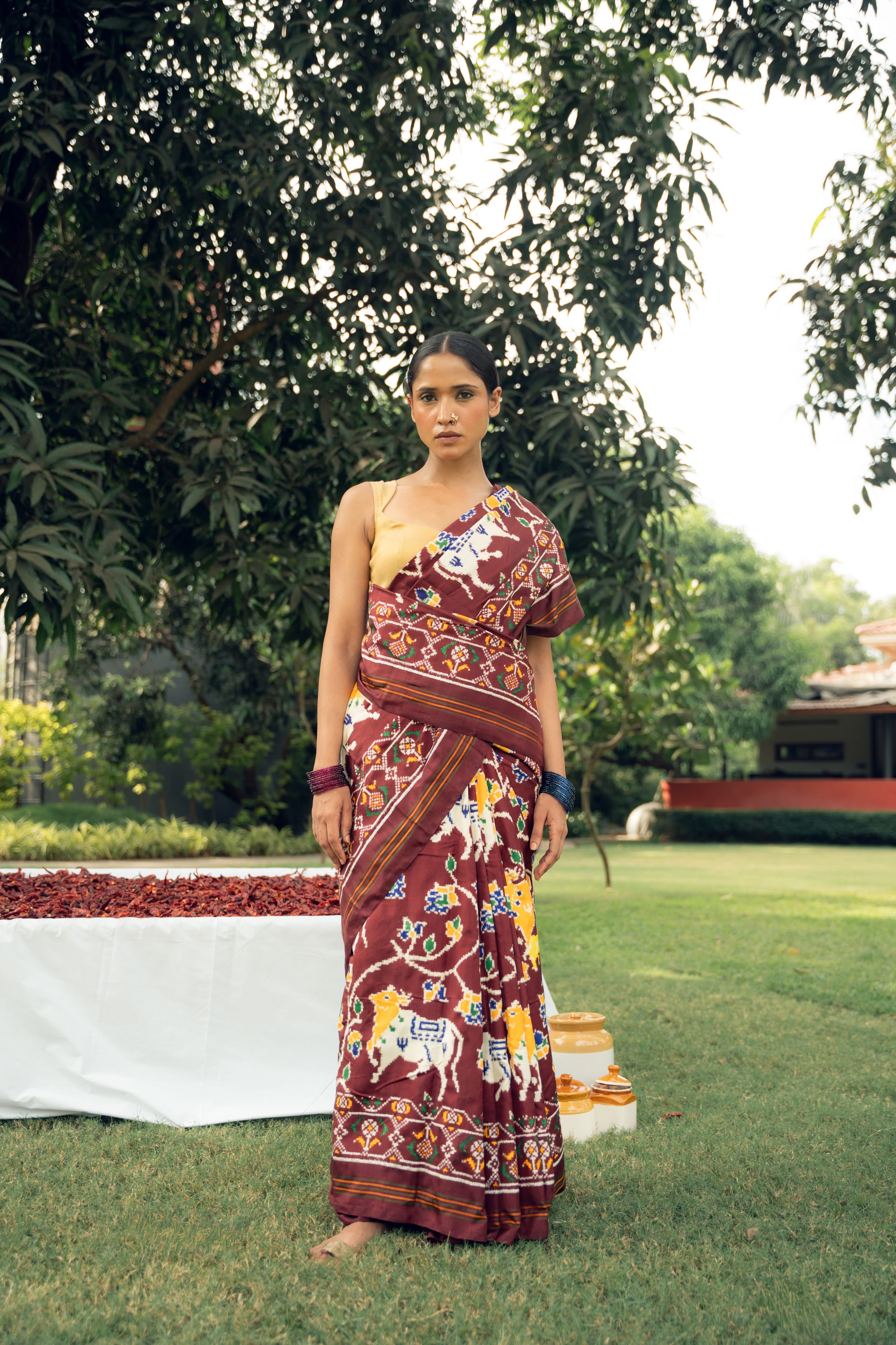 Brown Pichwaie Double Ikkat Saree
